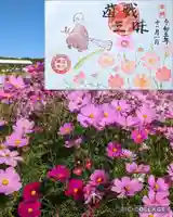 正光寺の御朱印