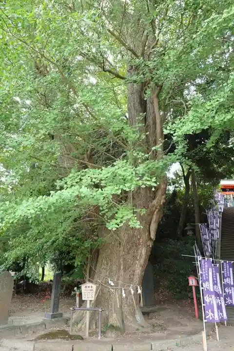 浅間神社(千葉県)