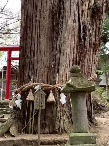 磐椅神社の自然