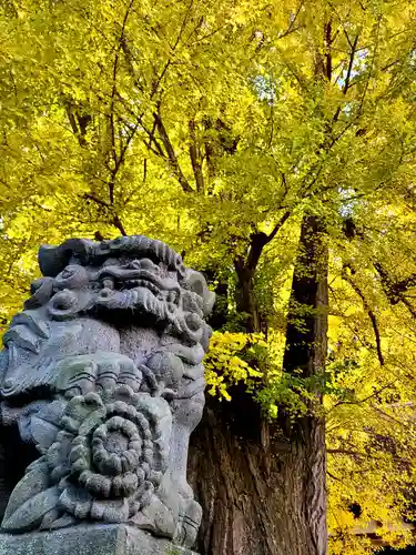 新宮熊野神社の狛犬