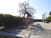 今津天満宮(山口県)