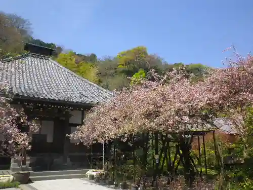 光則寺の本殿・本堂