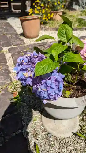 香雪院(京都府)