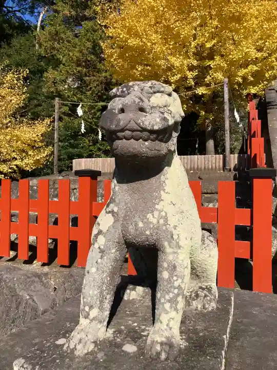 鶴岡八幡宮の狛犬
