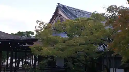 仁和寺(京都府)