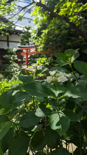 宝蔵寺(京都府)