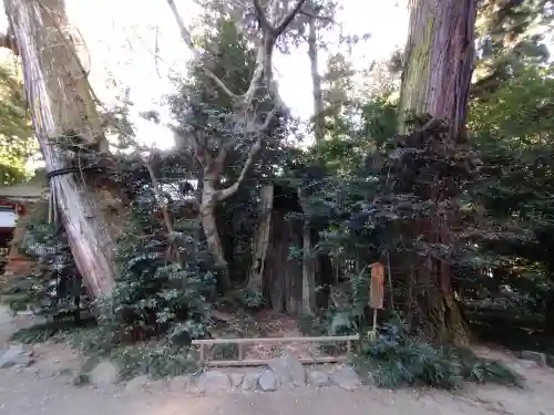 香取神宮(千葉県)