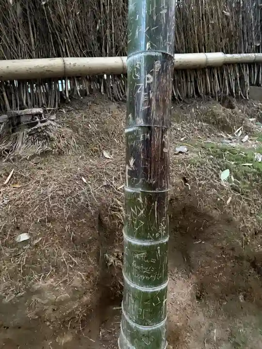 野宮神社(京都府)