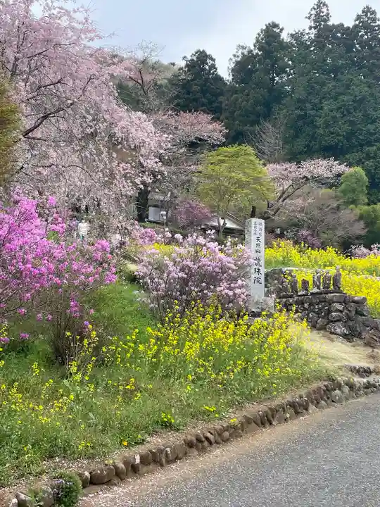 龍珠院(東京都)