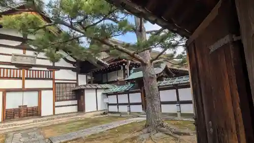 玉鳳院(京都府)