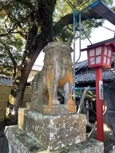 八坂神社の狛犬