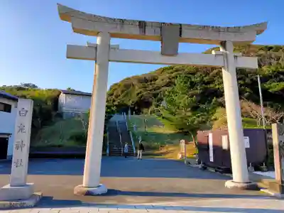 白兎神社(鳥取県)