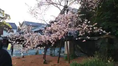 貴船神社の周辺