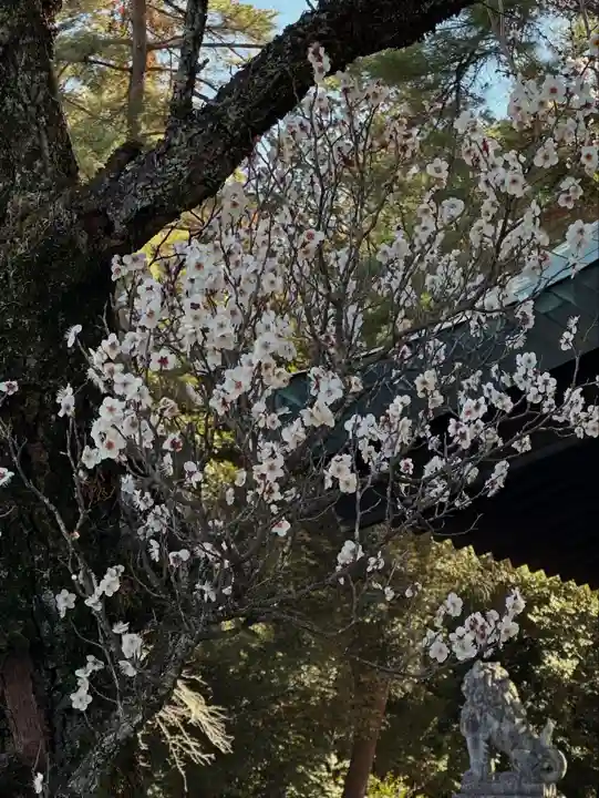 群馬県護国神社(群馬県)