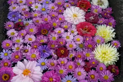 大鏑神社の手水舎