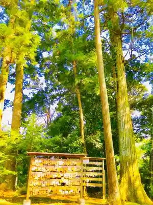 成田熊野神社(千葉県)
