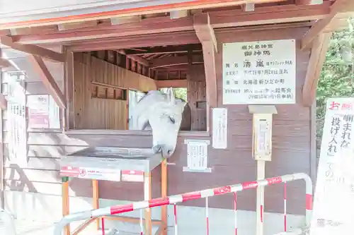 鹿児島神宮(鹿児島県)