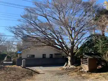 蓮蔵院(千葉県)