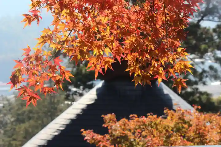 国宝 大法寺の自然