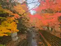 地主神社(滋賀県)