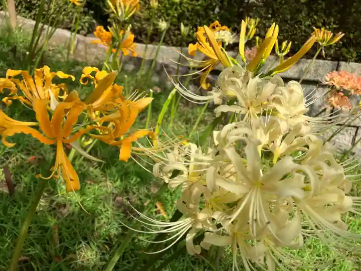 横浜 西方寺(神奈川県)
