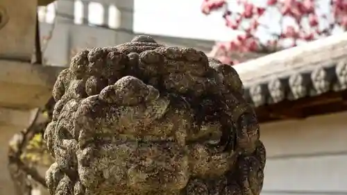 菅原天満宮（菅原神社）の狛犬