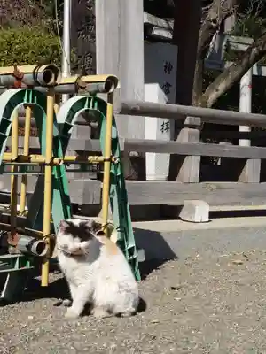 亀ケ池八幡宮(神奈川県)
