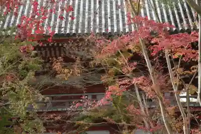 醍醐寺のその他建物