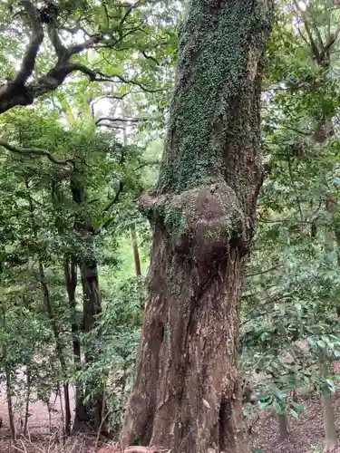 若都王子神社の庭園