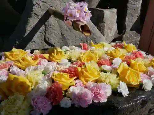 差出磯大嶽山神社 仕事と健康と厄よけの神さまの手水舎