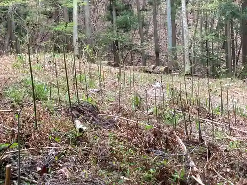 子檀嶺神社中社(長野県)