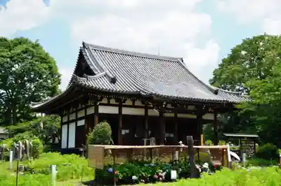 般若寺 ❁﻿コスモス寺❁(奈良県)