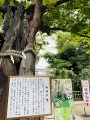 新田神社の歴史