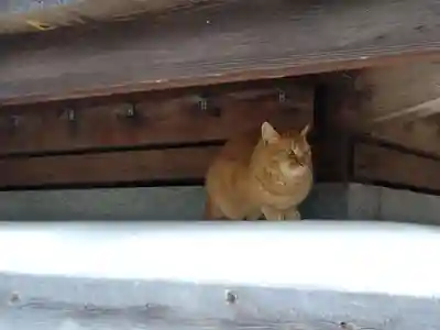 平林寺(兵庫県)