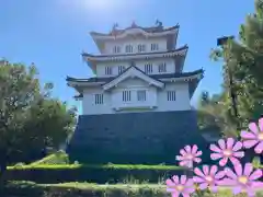 忍　諏訪神社・東照宮　の周辺