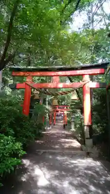 磐手杜神社の鳥居