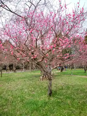 開拓神社の周辺