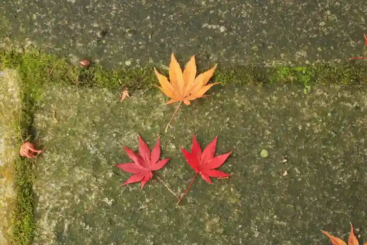 桜天満宮(京都府)
