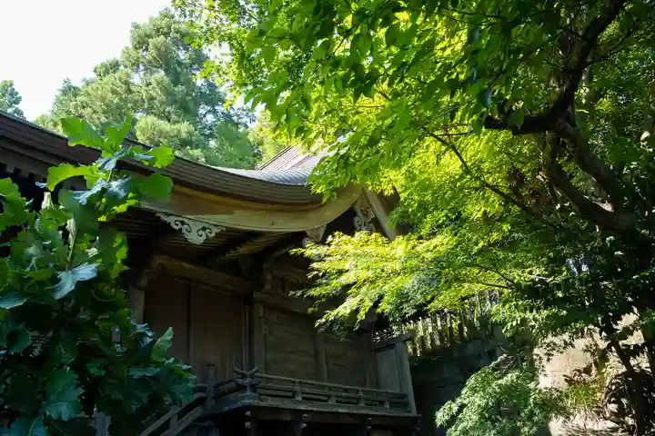 渋川八幡宮(群馬県)