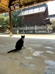 白鳥神社(香川県)