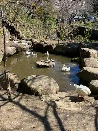 楽法寺（雨引観音）の動物