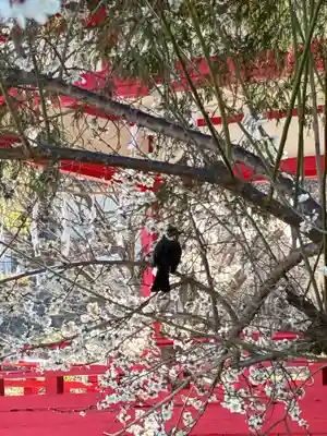 武甲山御嶽神社里宮(埼玉県)