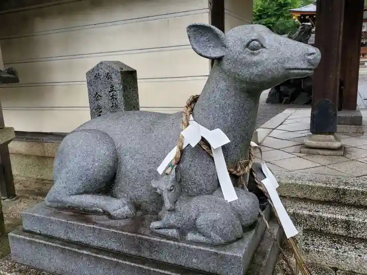 立木神社の狛犬