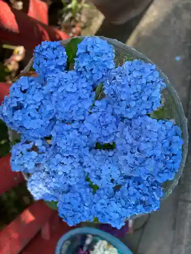 川越八幡宮(埼玉県)