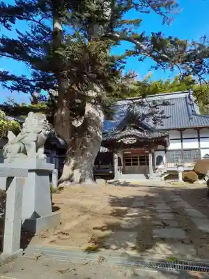 補陀寺のその他建物