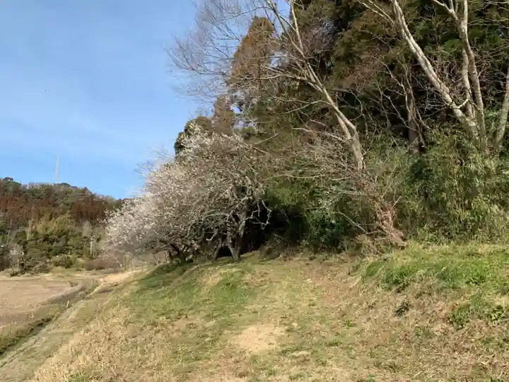 都波岐神社の周辺