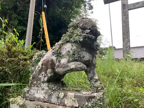 天満神社の狛犬