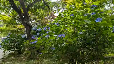 正法寺(京都府)