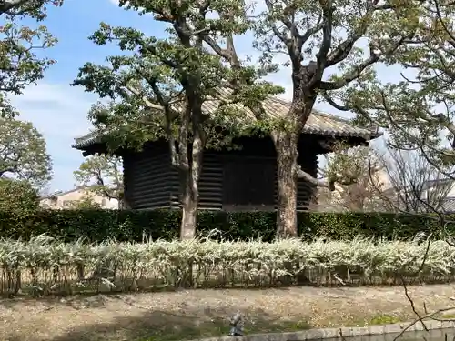 東寺（教王護国寺）(京都府)