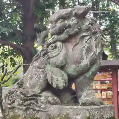 春日神社の狛犬